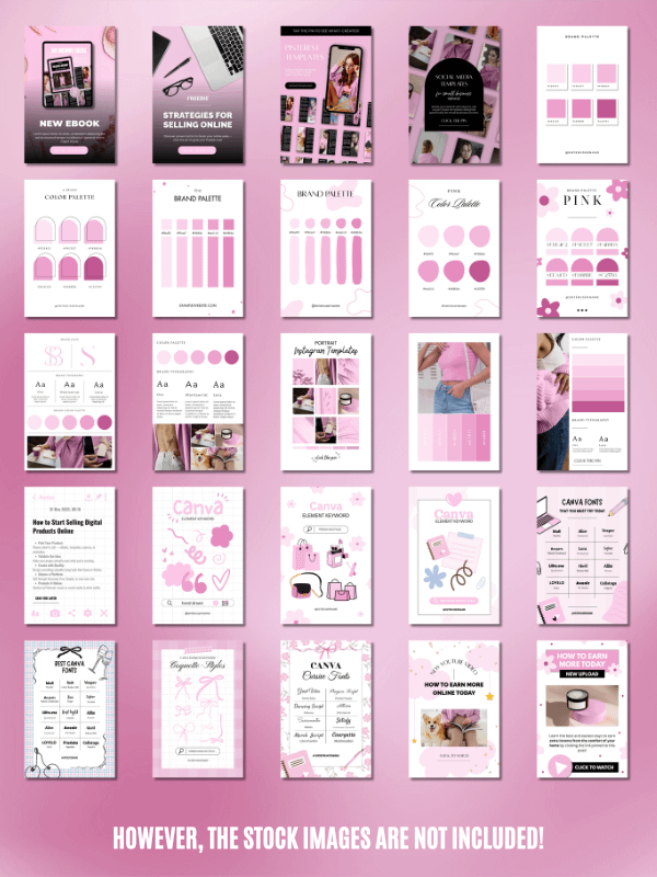 MRR/PLR Pinterest Templates for Digitals product image (4)