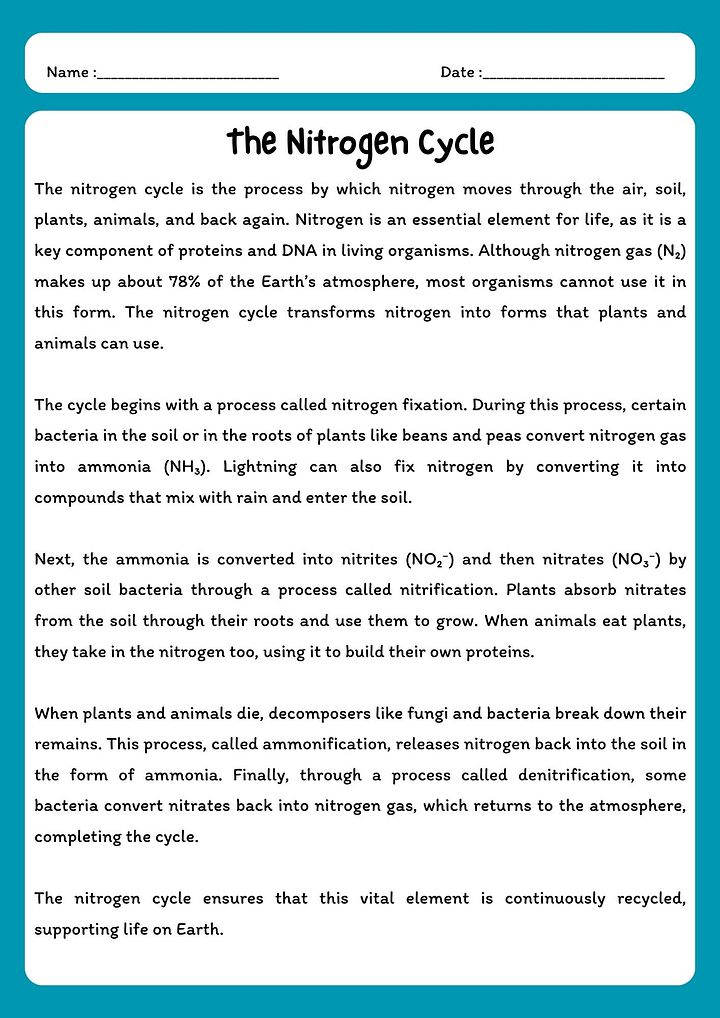 Nitrogen Cycle Reading Comprehension Passage & Questions product image (1)