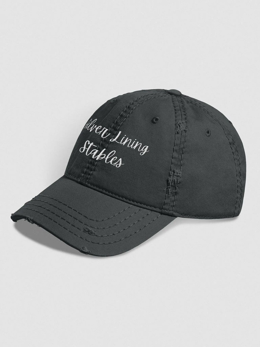 SLS Distressed Hat product image (4)