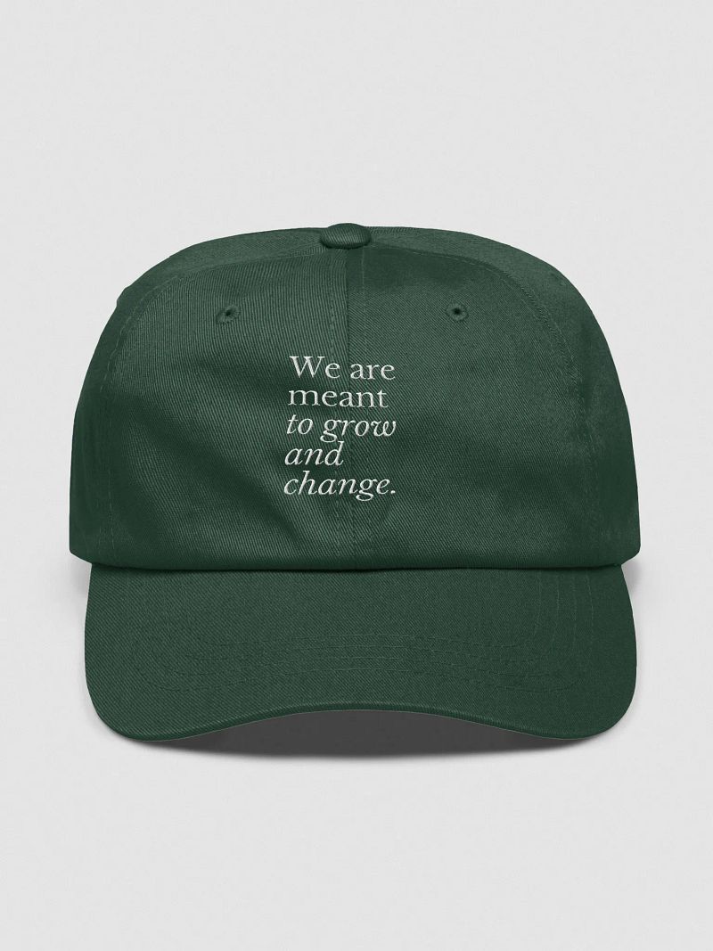 We are meant to grow and change dad hat
