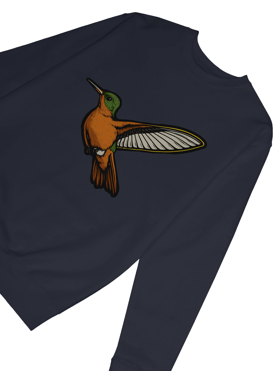 Flight of the Cinnamon Hummingbird Premium Sweatshirt product image (6)