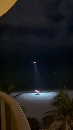 They are already here ! They never left 🙈 

#technology #miami