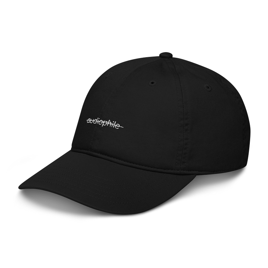 Not an audiophile hat product image (8)