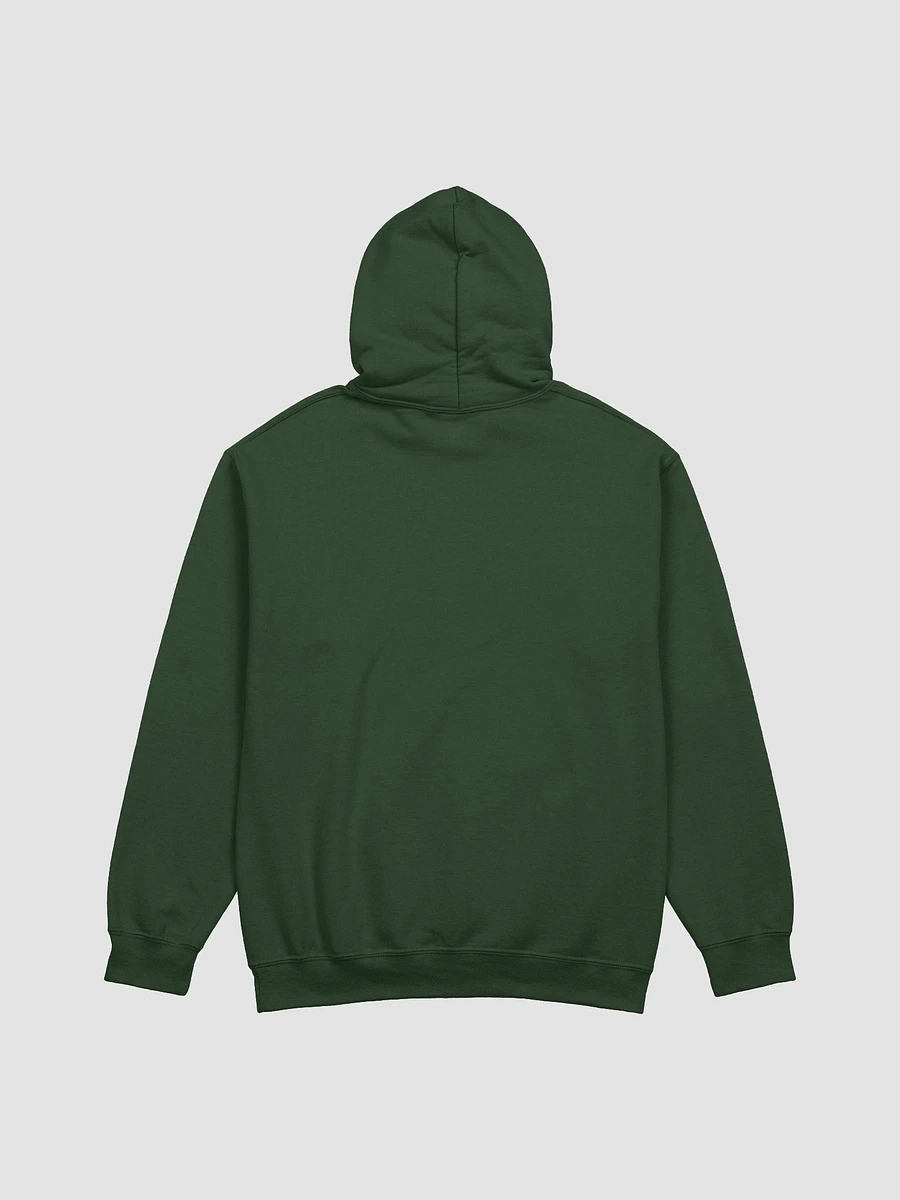 Explore PNW Lifestyle Clubs hoodie product image (6)
