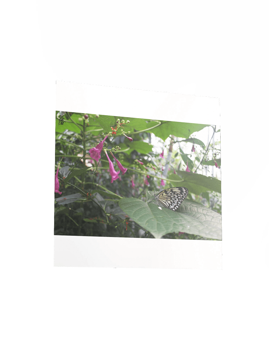 Yellow Butterfly on a Leaf product image (7)