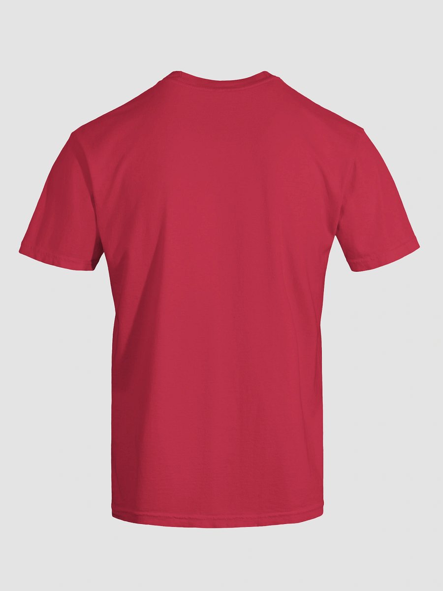 Planning AmeriExit [GA] T-Shirt product image (73)