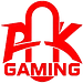 PainkillerLee