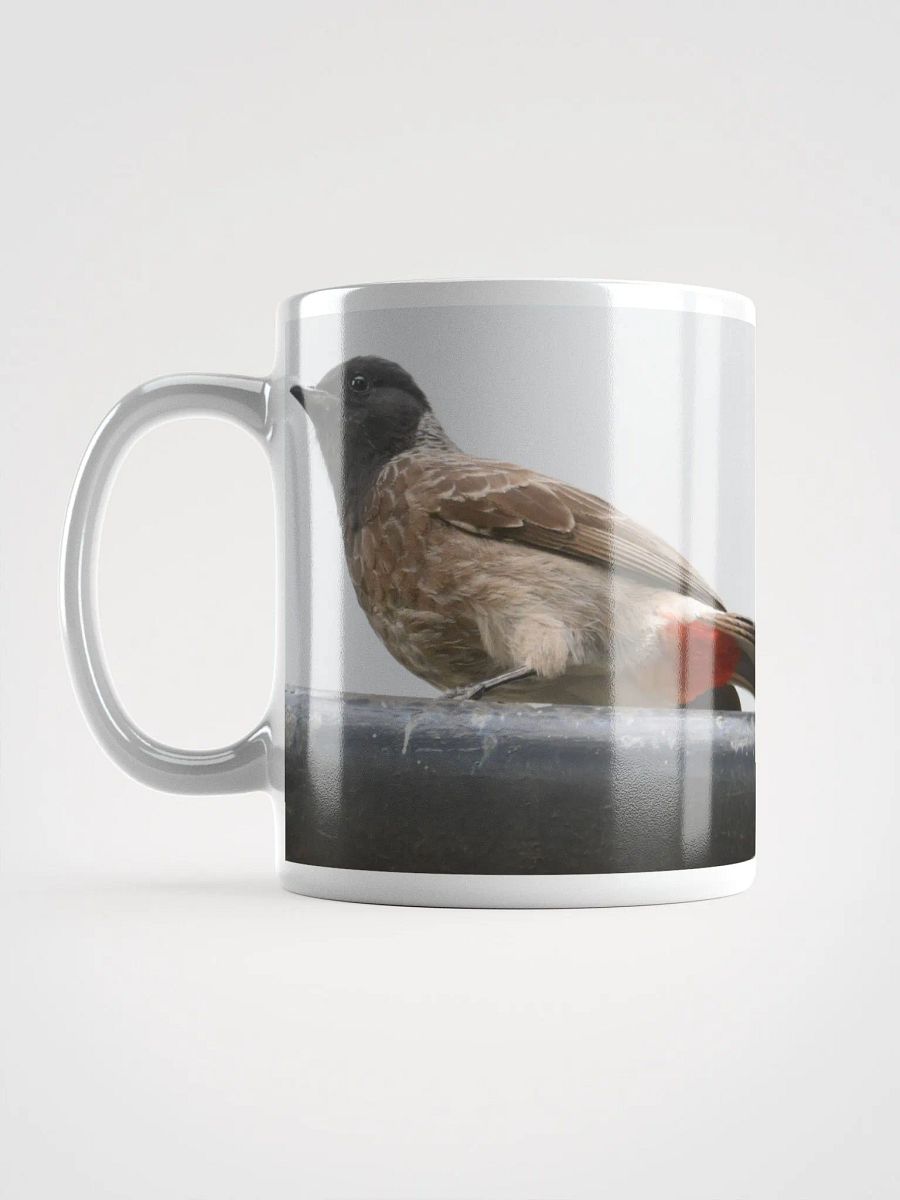 IUCAA BIRDS WHITE MUG product image (6)