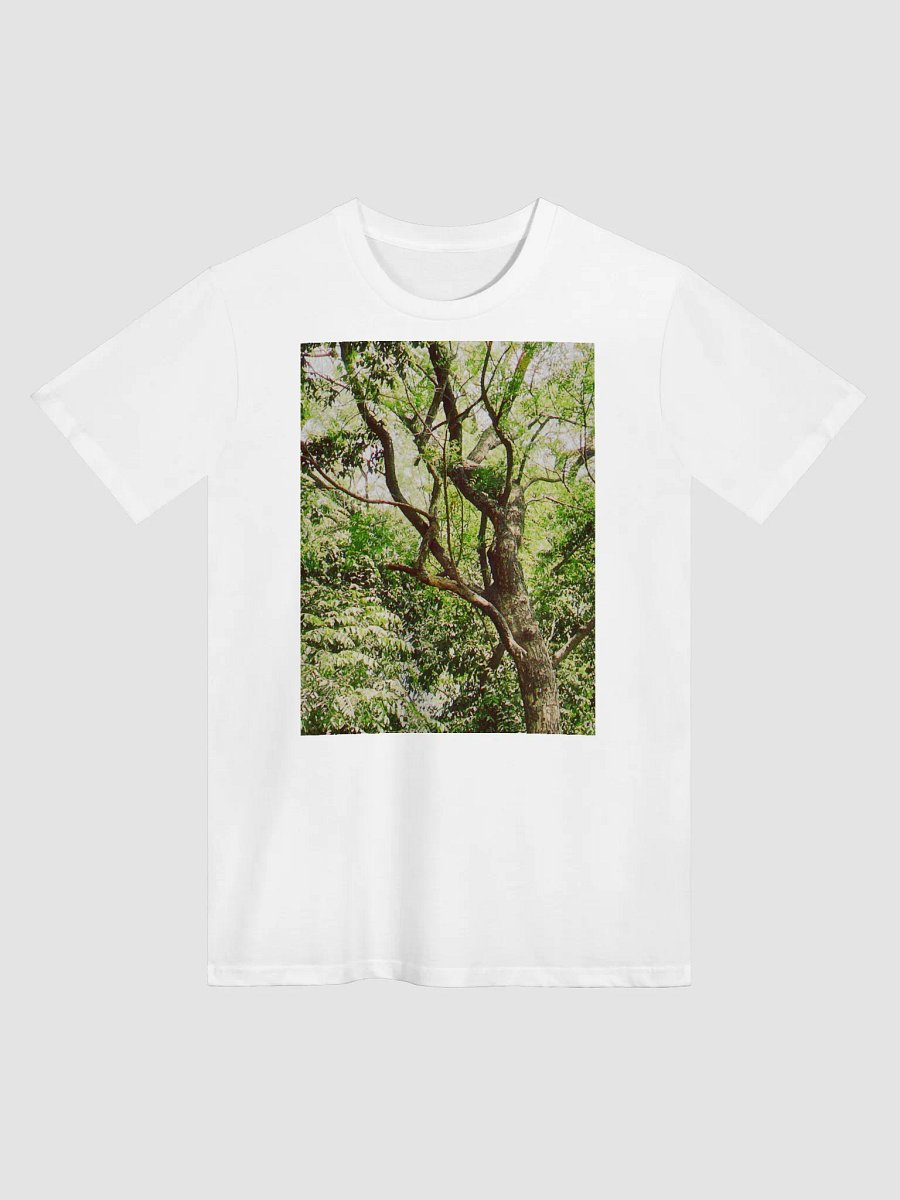 EARTH TONE DIVINE MUSIC TEE product image (1)