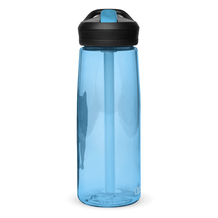 Wolf Drawing Water Bottle Straw product image (59)