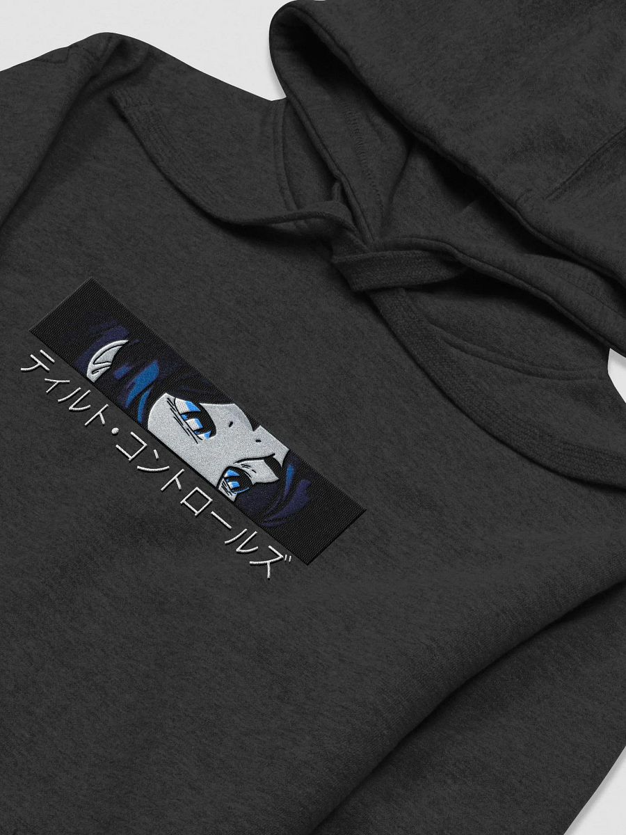 Tilt Controls Embroidered Hoodie product image (3)