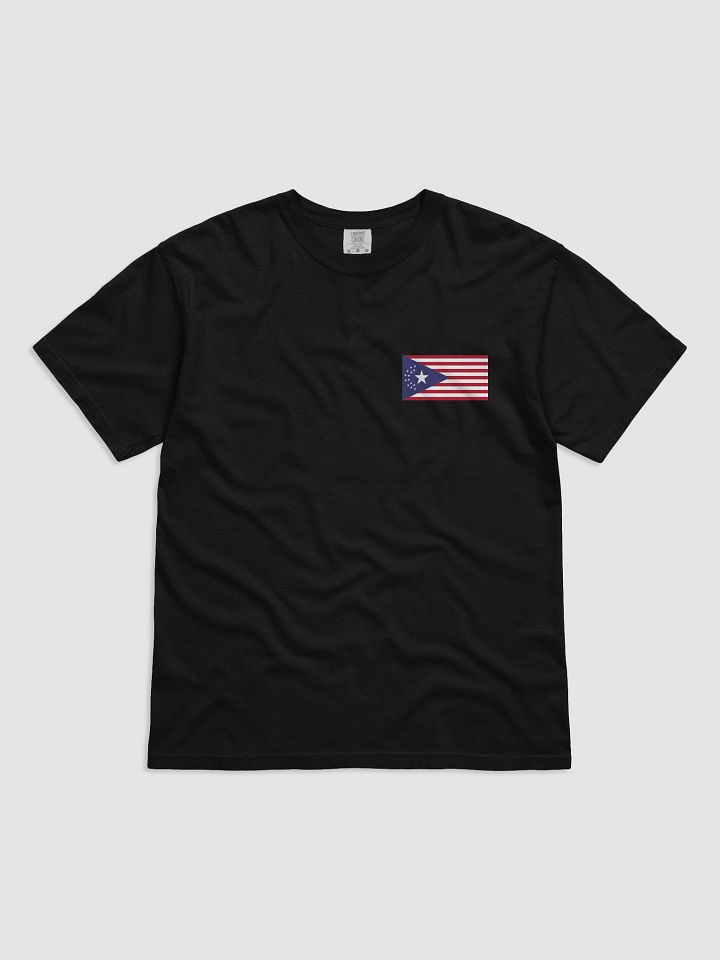 SongBird/NUSA product image (8)