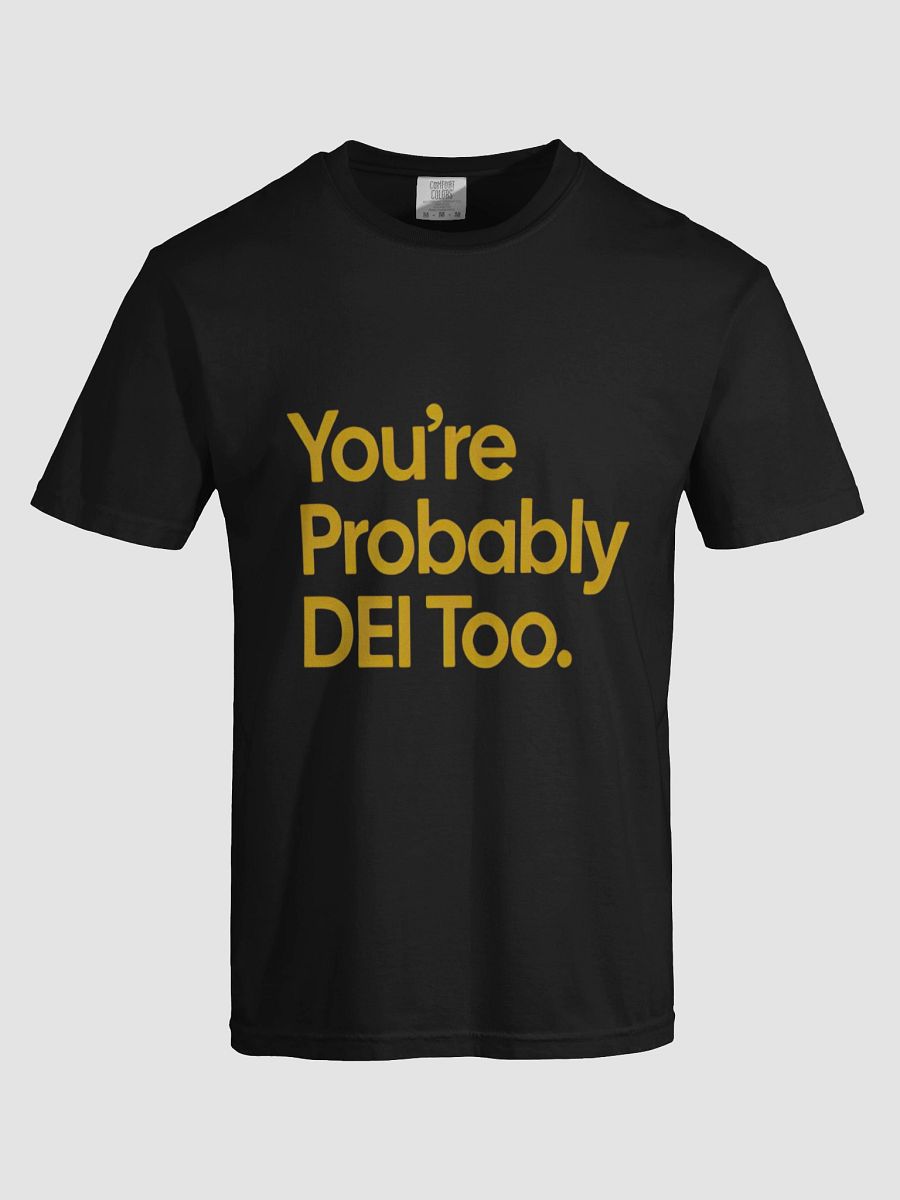 you're probably DEI too T-Shirt product image (5)