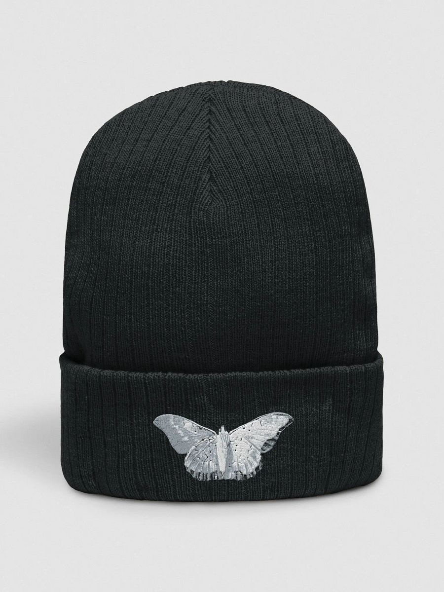 Moth Ribbed Beanie product image (2)