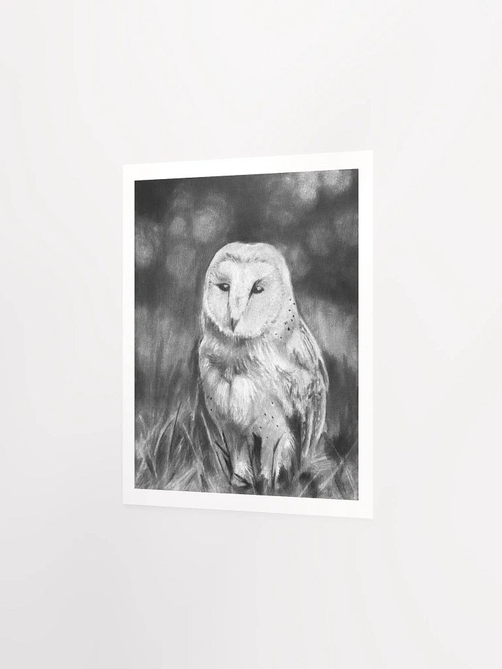 Owl - Print product image (5)
