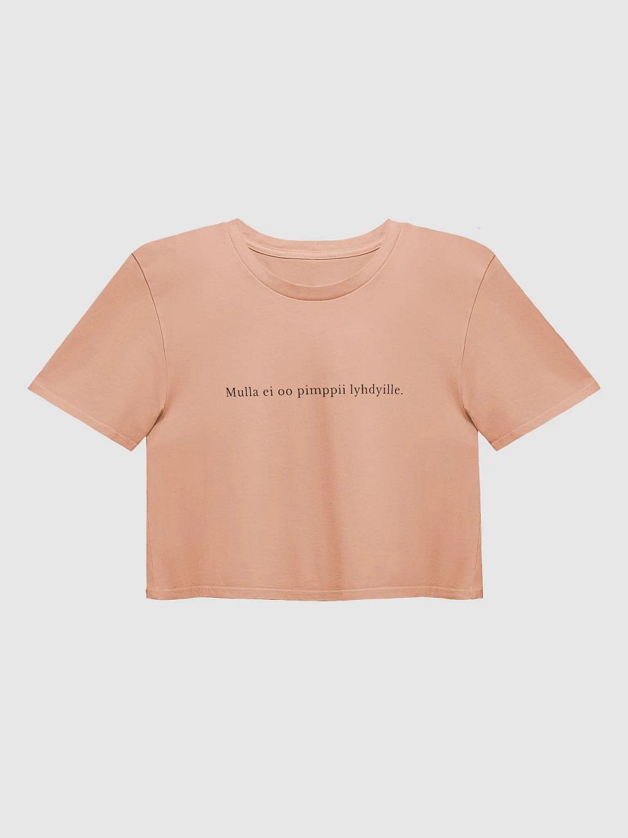 No tengo el ch*chi pa farolillos (crop top) product image (1)