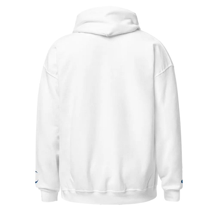Embroidered "Malfunction" Hoodie product image (2)