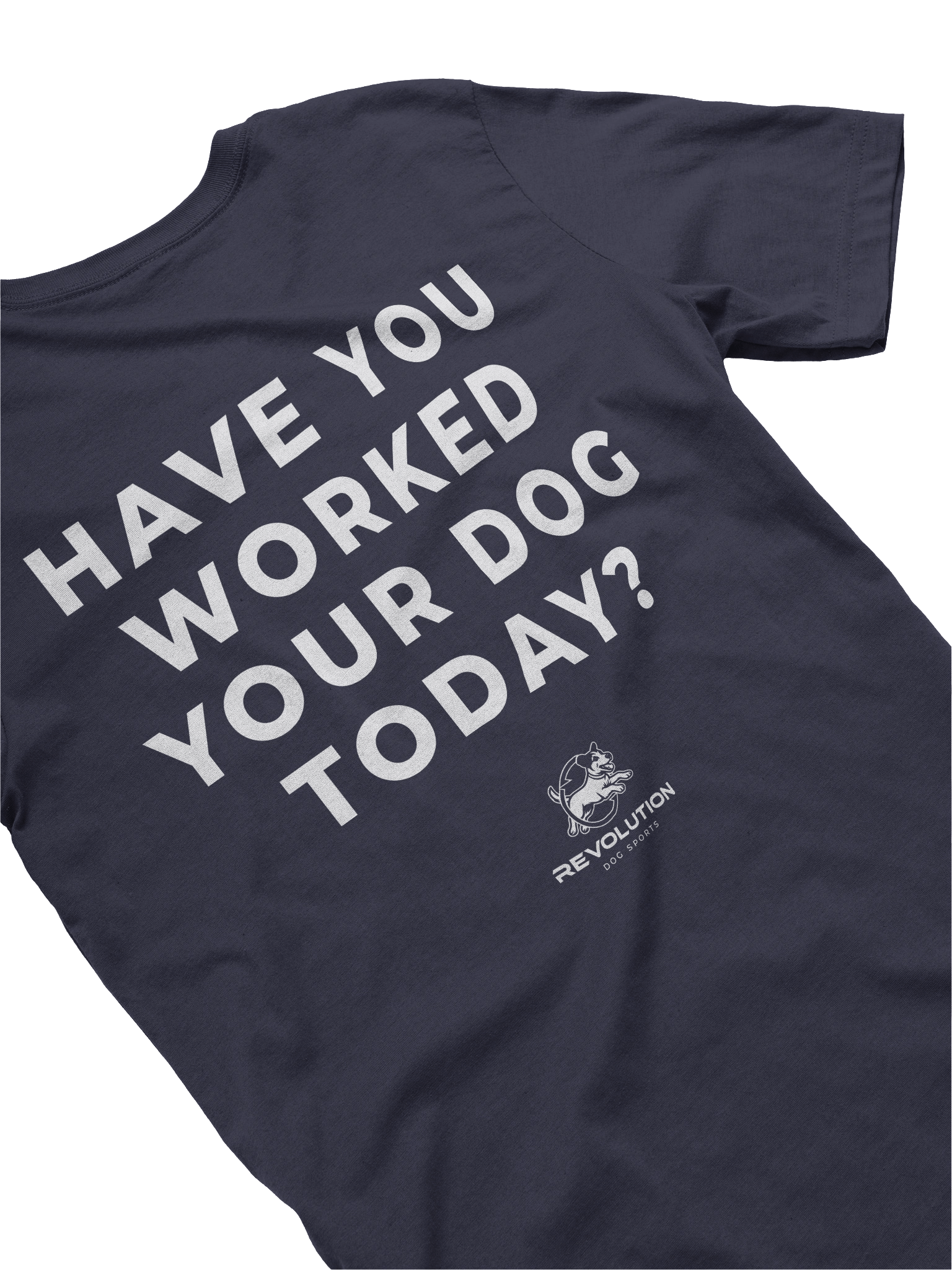 RDS - Have You Worked Your Dog? T-Shirt product image (52)
