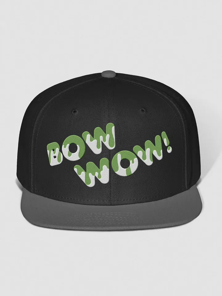 Speak Hat - BOW WOW! - Green Drip product image (1)
