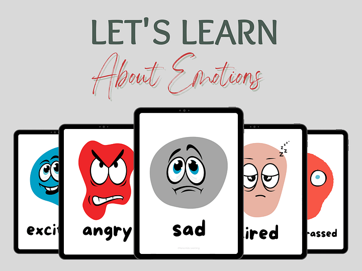 Let's Learn About Emotions Flash Cards product image (2)