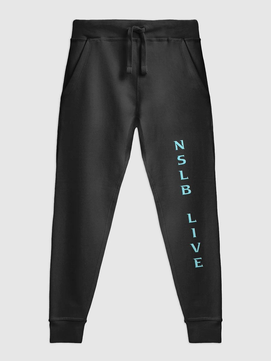 Revive Your Wardrobe with some NSLB Lane Seven Fleece Joggers product image (5)