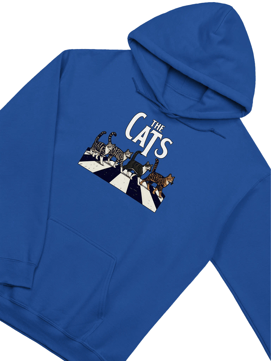 THE CATS CROSS WALK HOODIE product image (3)