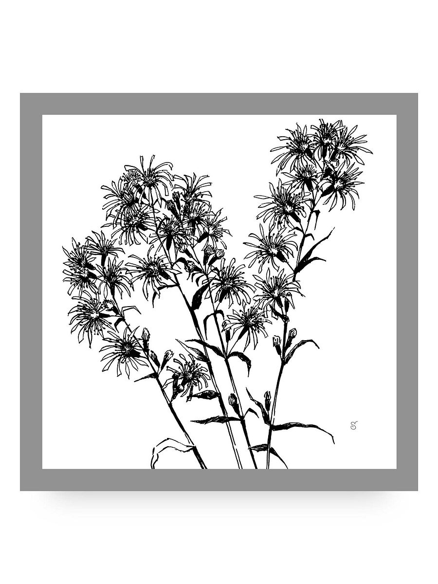 Spiky Botanical Beauty Canvas - Bouquet Flowers product image (104)