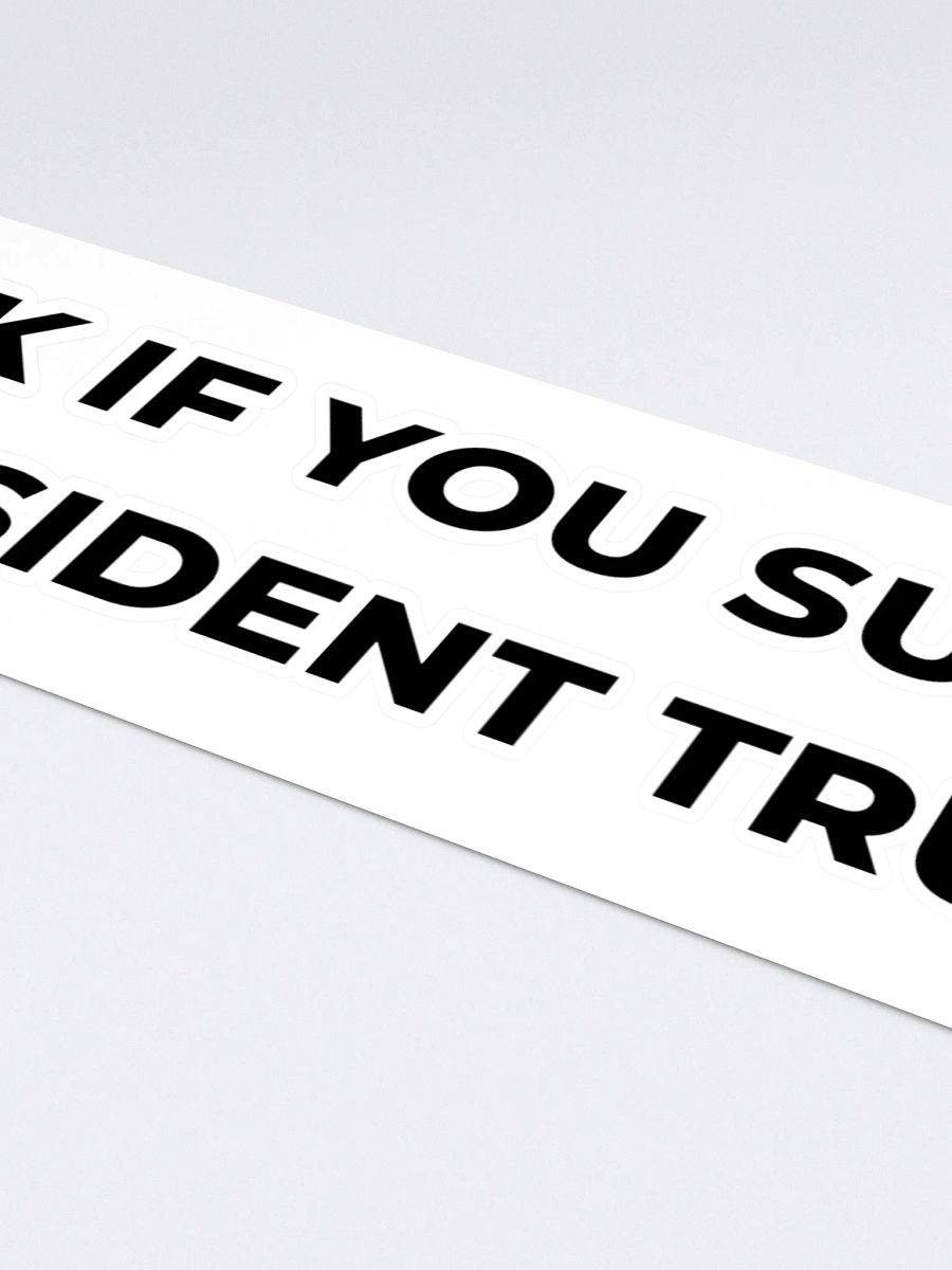 CONSERVATIVE BUMPER STICKER product image (4)