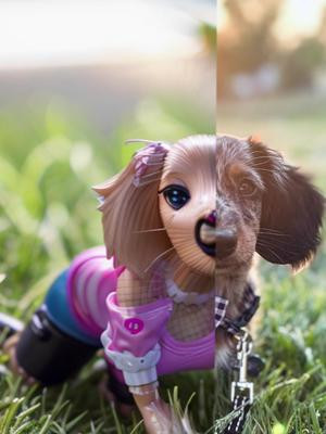 Had to hop on this trend… but it turned out cute. #CapCut #dog #dogbarbie #puppy #weenie #wienerdog
