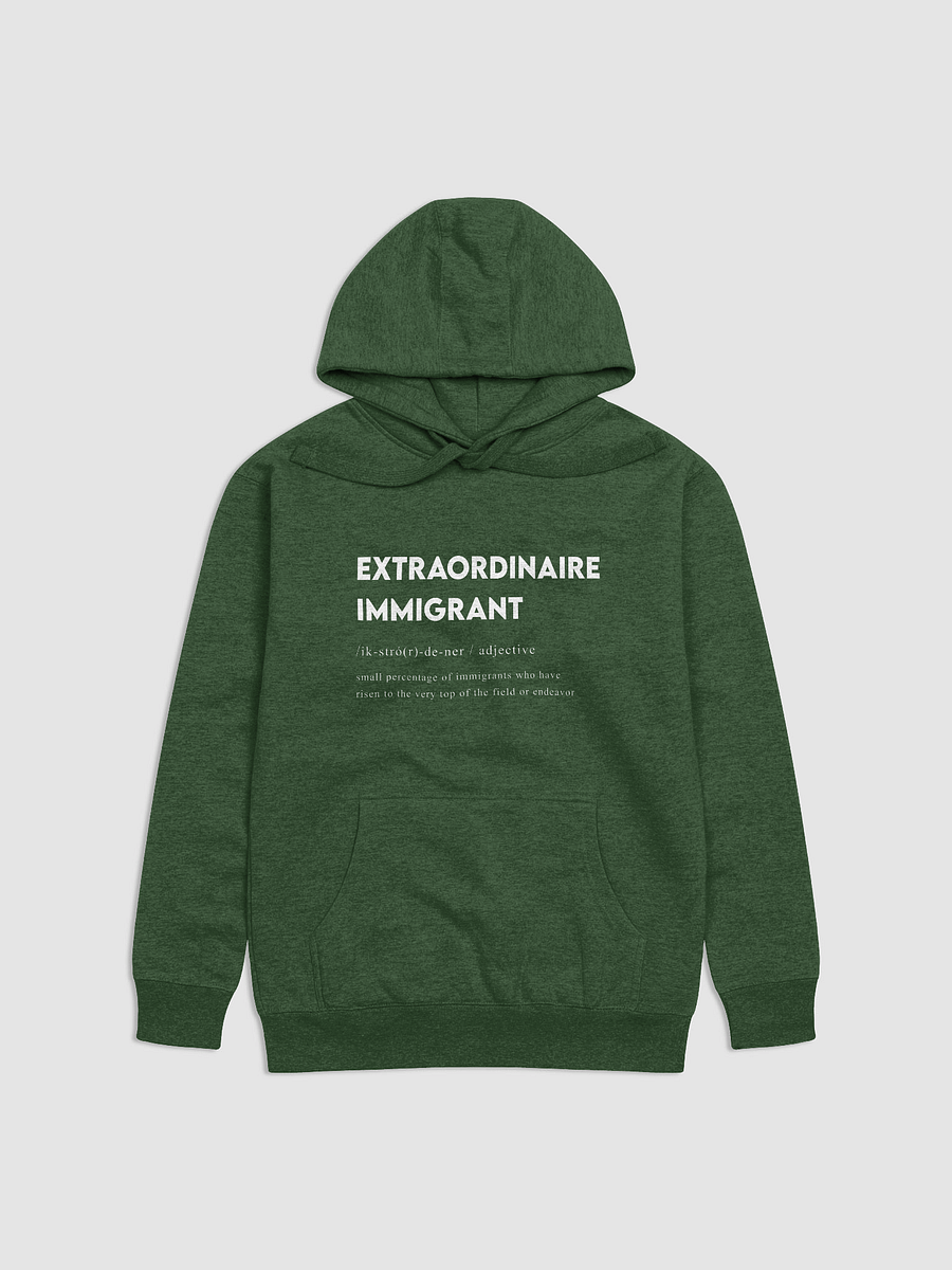 EXTRAORDINAIRE IMMIGRANT HOODIE GREEN product image (2)