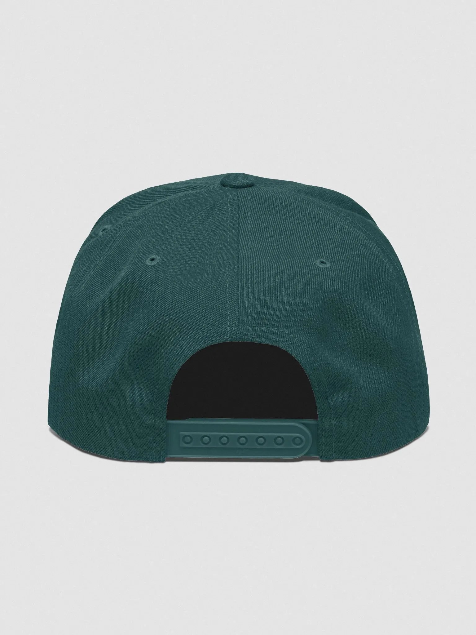 6 Solid Snapback product image (36)
