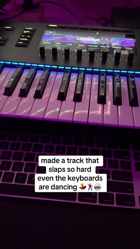 gear needs to get back to WORK

#producer #songwriter #musicstudio #electronicmusic #beats #femaleproducer