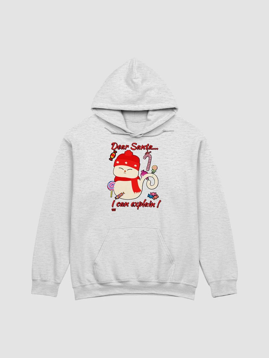 DEAR SANTA, I CAN EXPLAIN! product image (3)