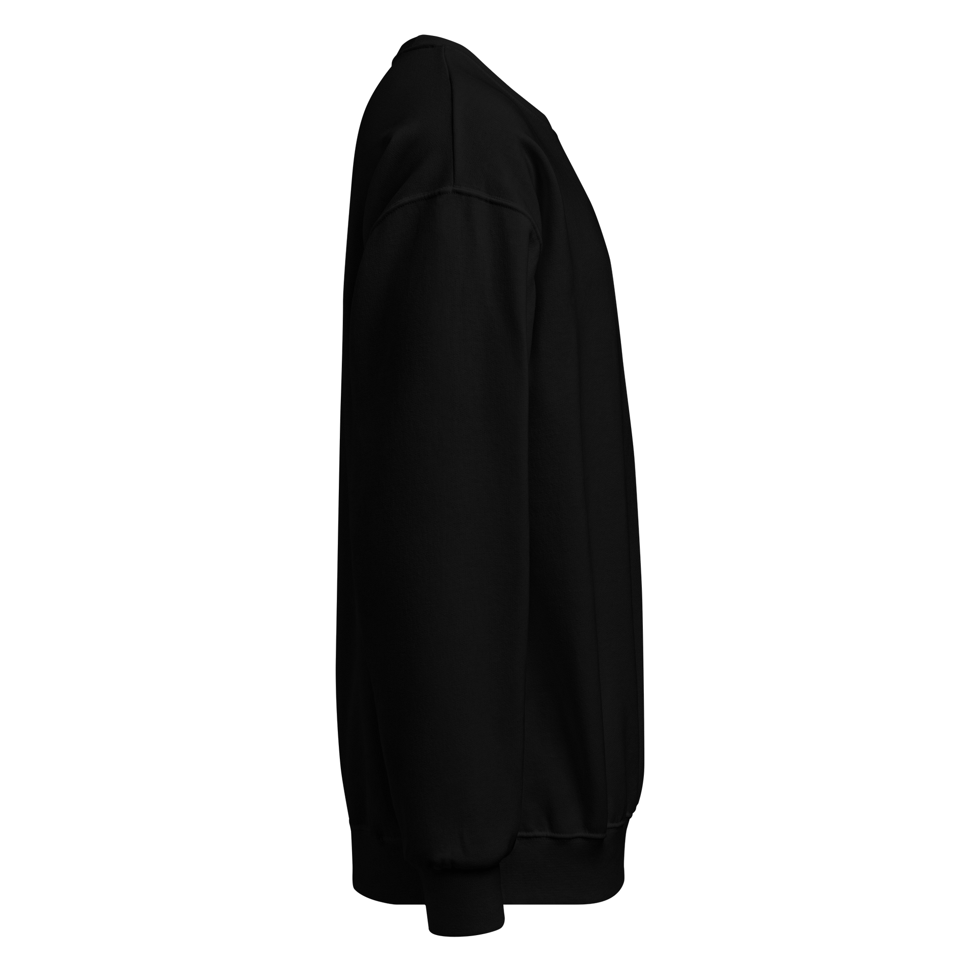 Classic Unisex Crew Neck Sweatshirt product image (4)