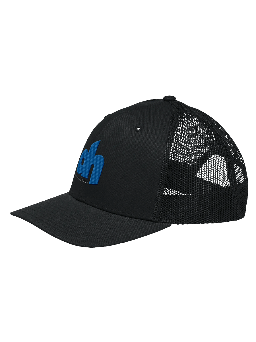 d2h Logo Mesh Back Trucker Hat product image (6)