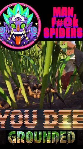 Man I Hate spiders…
•
•
#twitch #twitchstreamer #streamer #videogames #grounded #spiders #mrwhimzy #noahlance #funny