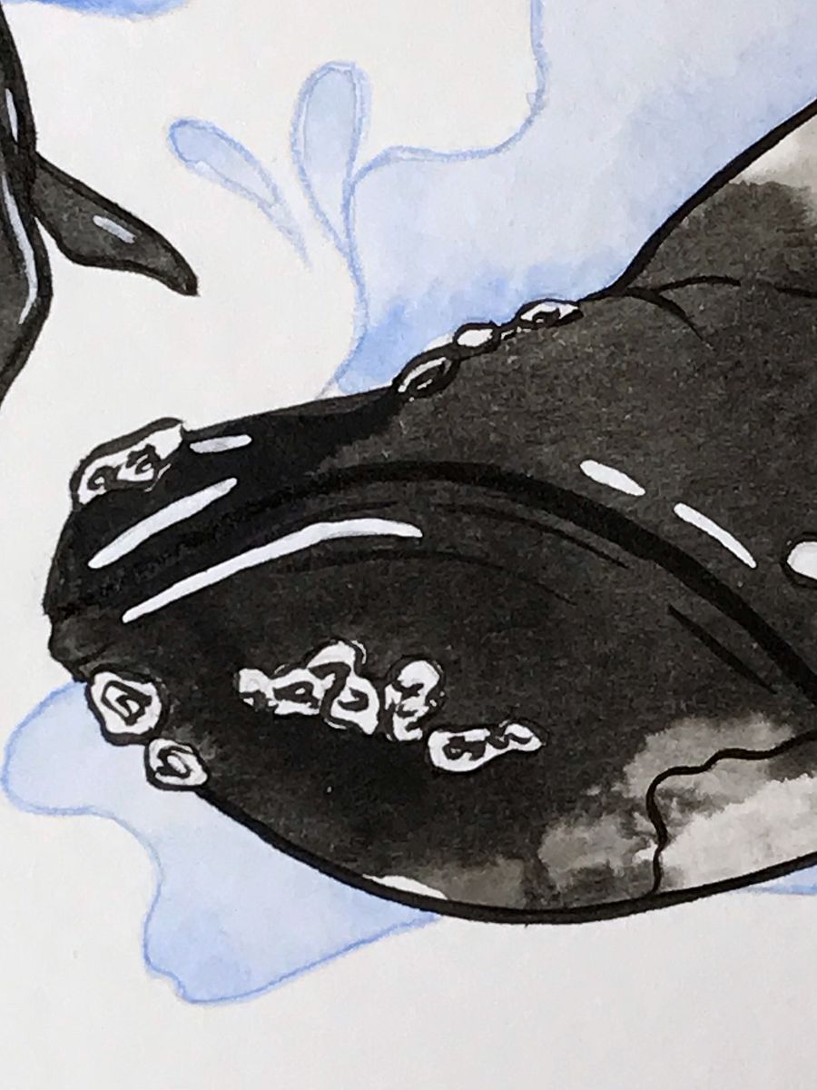 original painting : whales product image (2)