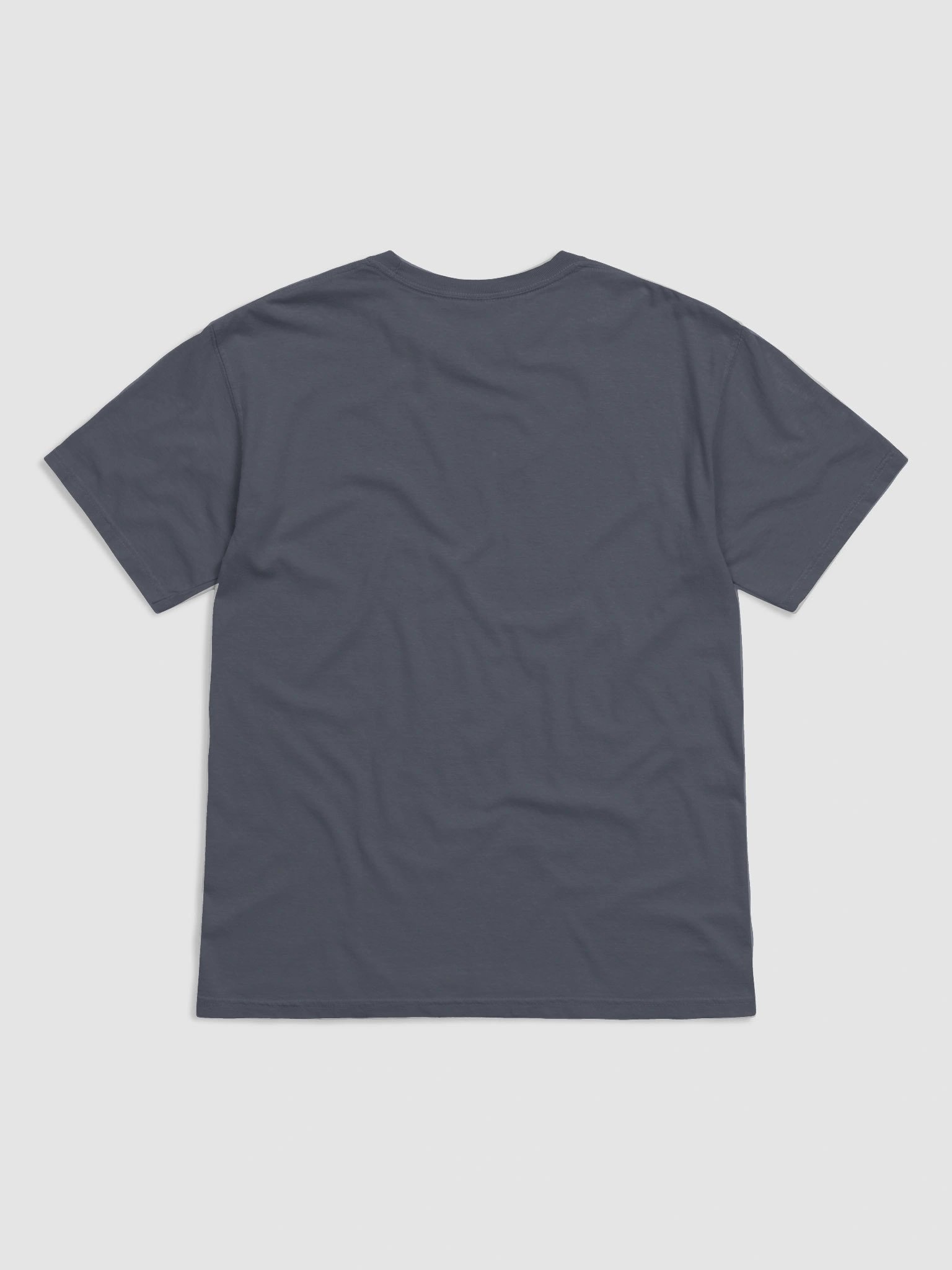Pennsylvania Sucks tshirt product image (2)