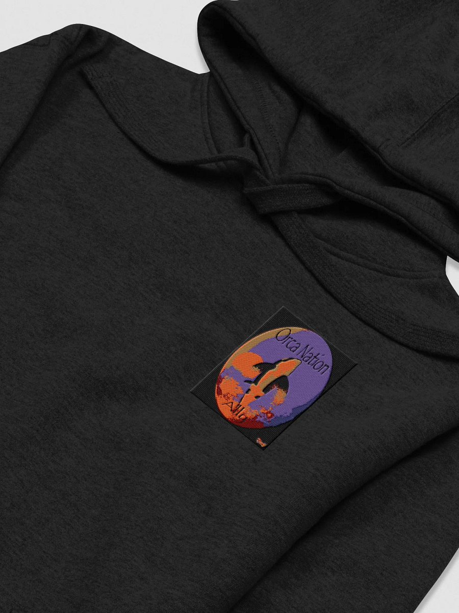 Orca Nation Ally Embroidered Hoodie product image (43)