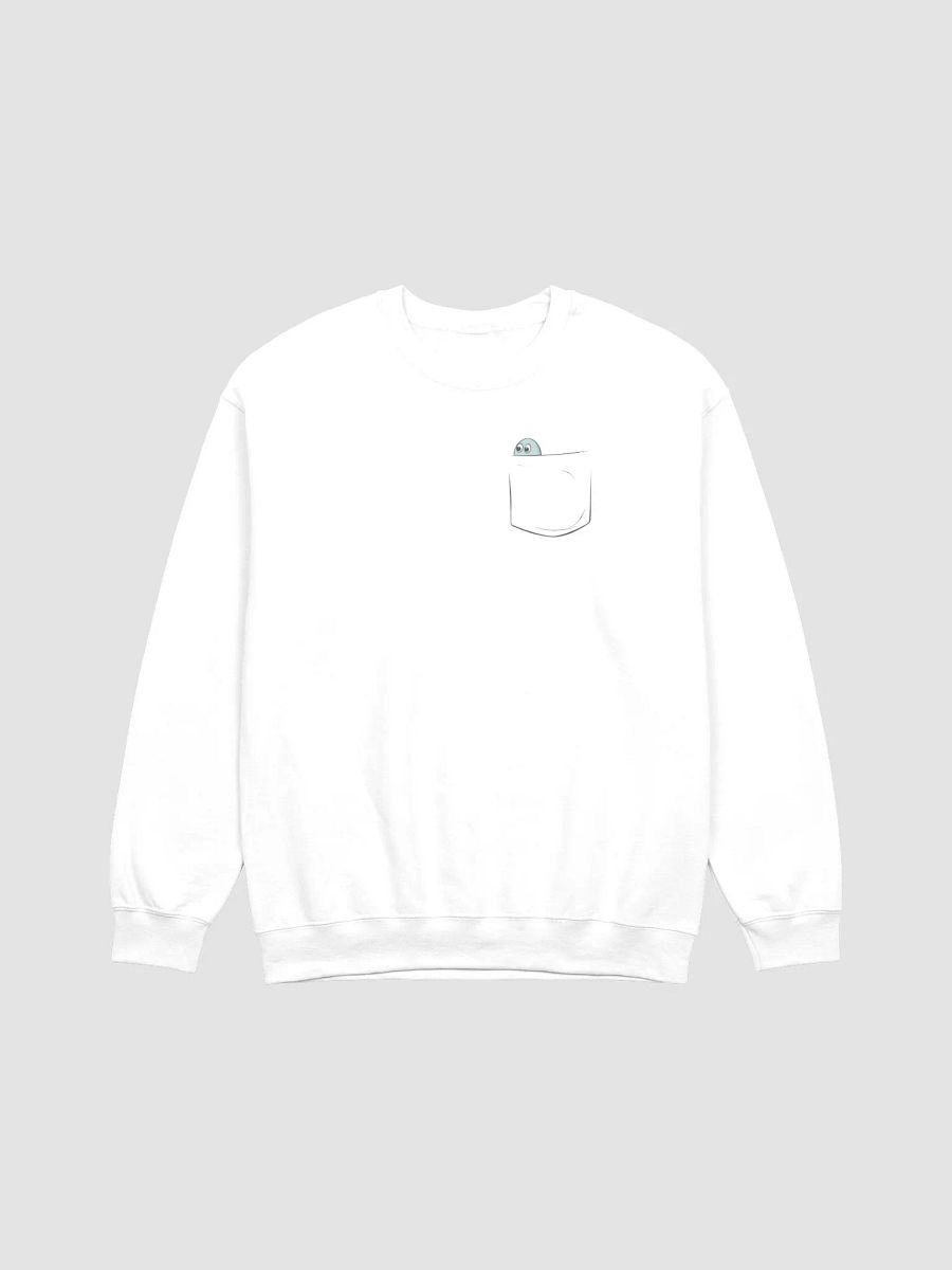 Pocket Saurus Sweater product image (2)