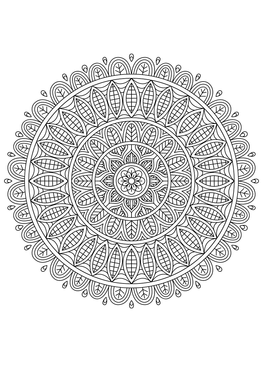 Adult colouring book product image (5)