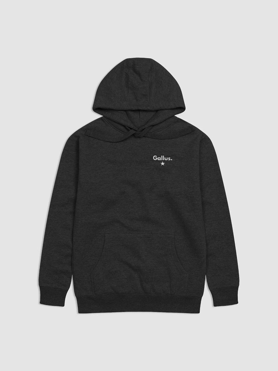 Gallus Hoodies product image (3)