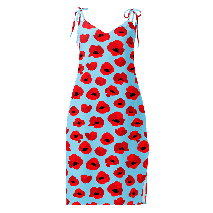 Sky Blue & Red Poppy Slip Dress product image (1)