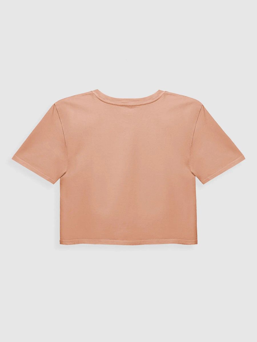 Lost Records: Bloom & Rage Point Pleasant Crop Top product image (10)