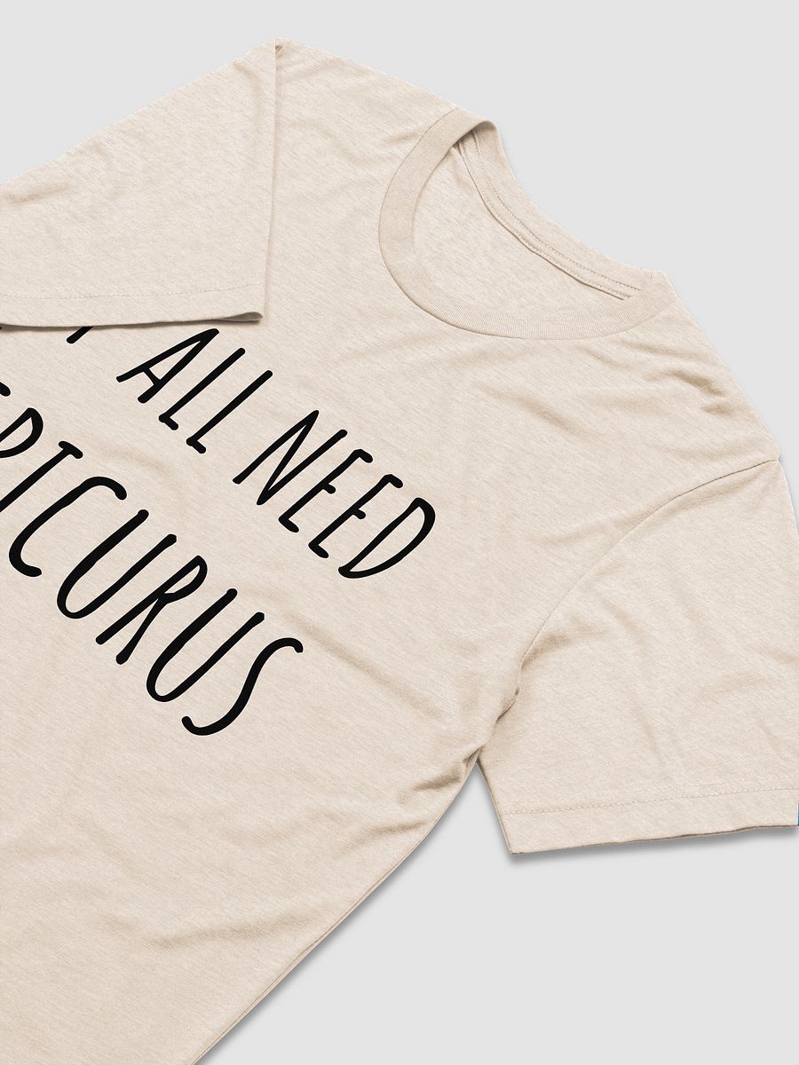 Y'all Need Epicurus LIGHT (Bella+Canvas Triblend Short Sleeve T-Shirt) product image (34)
