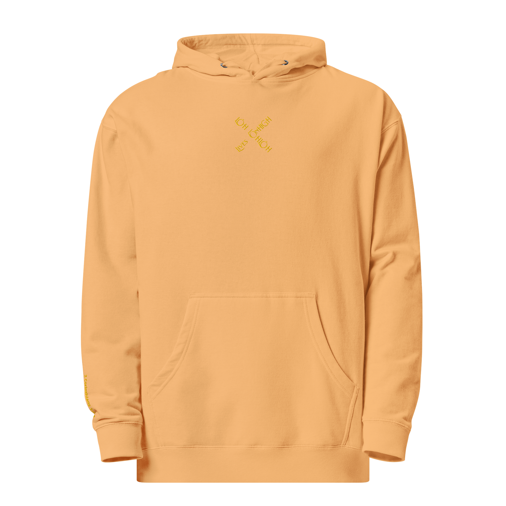 The Lives On HIGH | YTG STEALTH | UNISEX Hoodie | Peach product image (1)