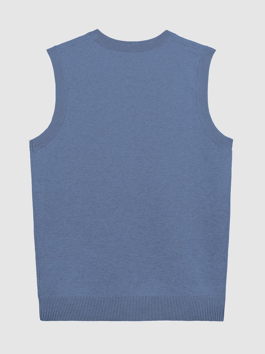 BUSY-BRAINED (lg. design, duotone blue) knitwear vest product image (9)