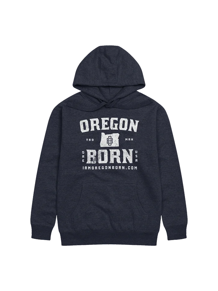 Oregon Born Vintage Collegiate - Hoodie product image (1)