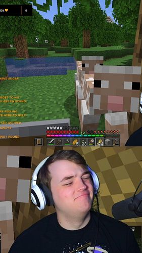 How else does one sheer a sheep? #twitch #minecraft #viral