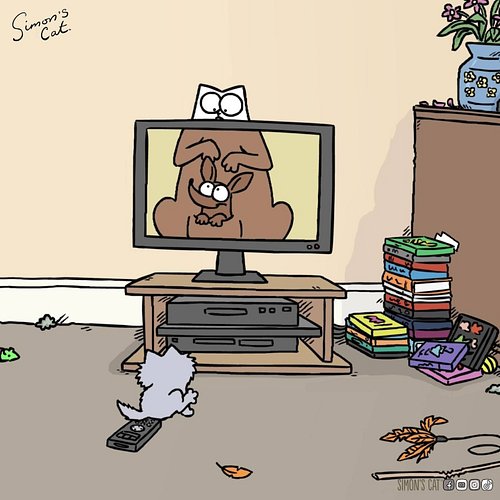 Two fluffy criminals! 😺😺